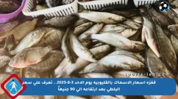 قفزة أسعار الأسماك بالقليوبية يوم الأحد 3-8-2025.. تعرف على سعر البلطى بعد ارتفاعه إلى 90 جنيهاً